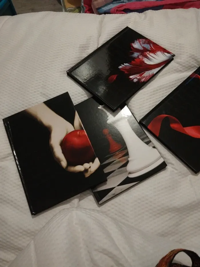Carnet collector Twilight - photo numéro 4