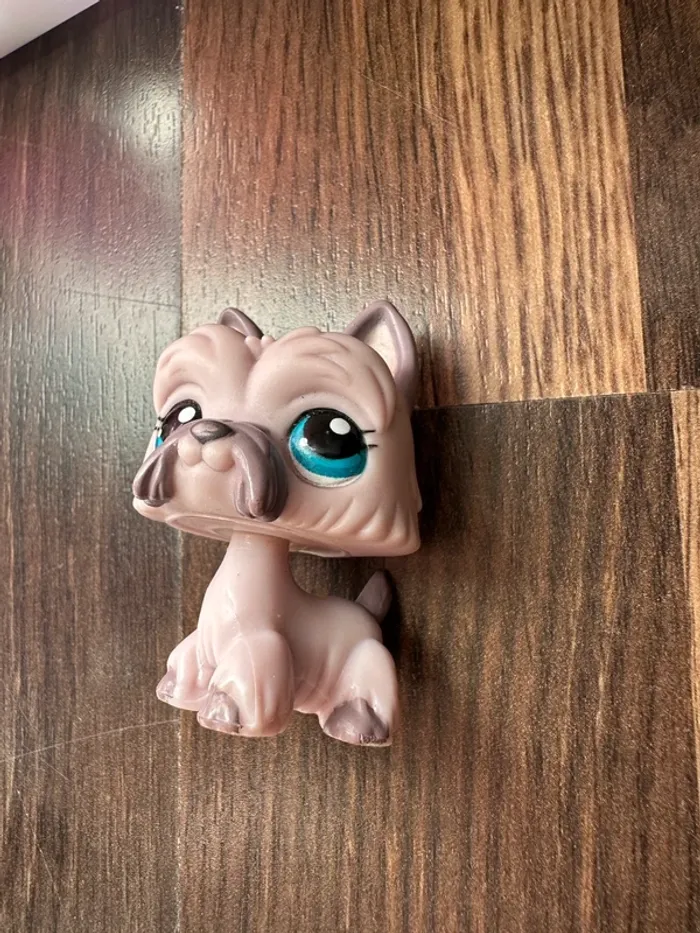 Petshop chien - photo numéro 3