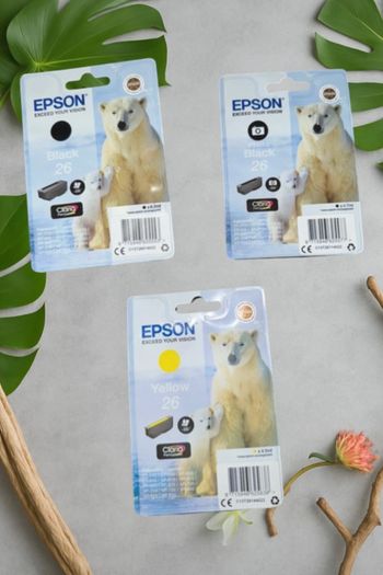 Lot de 3 cartouches Epson 26 (Claria Premium)