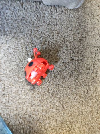 Wind up coccinelle