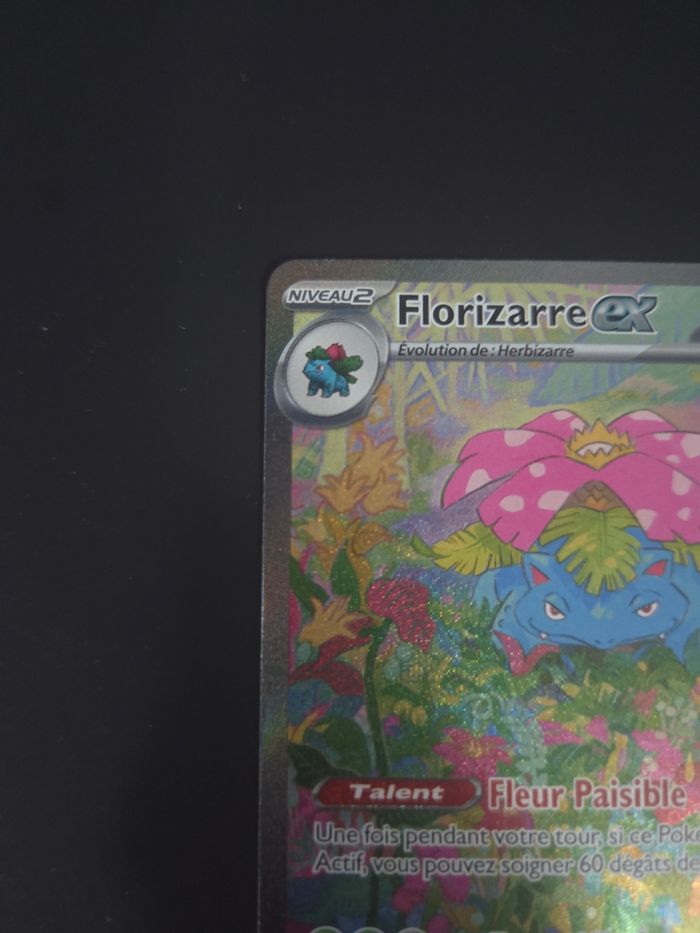 Florizarre ex - photo numéro 3