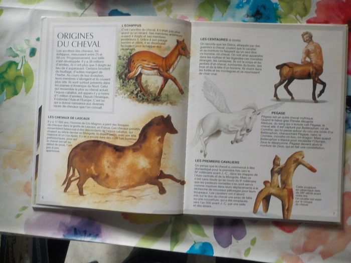 Les chevaux L'imagerie animale Ed. Fleurus Enfants - photo numéro 6