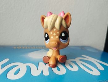 Petshop poney