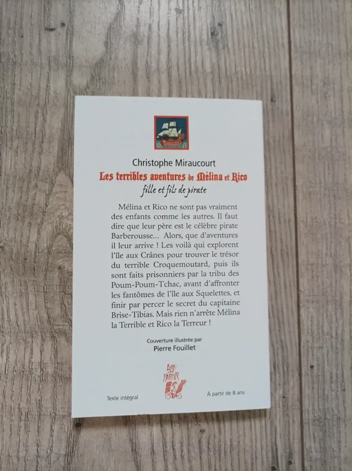 Livre pour enfants : " les terribles aventures de Mélina et Rico" - photo numéro 3