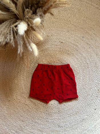 Short bébé garçon - 6mois