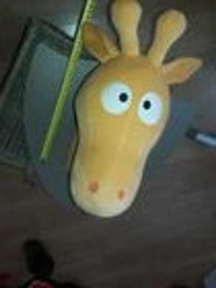 girafe - photo numéro 2