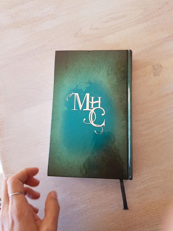 le demon du passé - Mary Higgins Clark - photo numéro 3