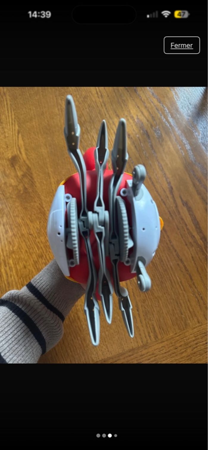 Crabe - photo numéro 3