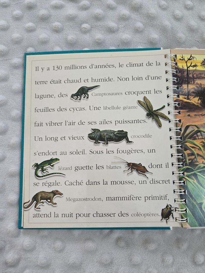 Livre - photo numéro 2
