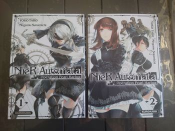 Nier automata