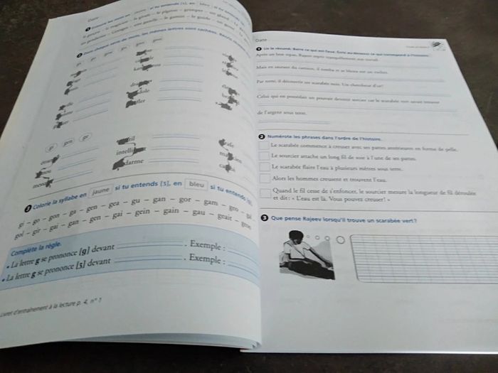 Lot de 2 livres Ribambelle CE1 - photo numéro 9