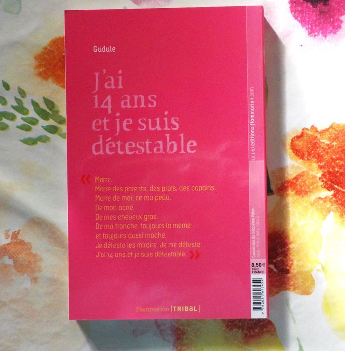 J AI 14 ANS ET JE SUIS DETESTABLE de GUDULE Ed. Flammarion - photo numéro 3