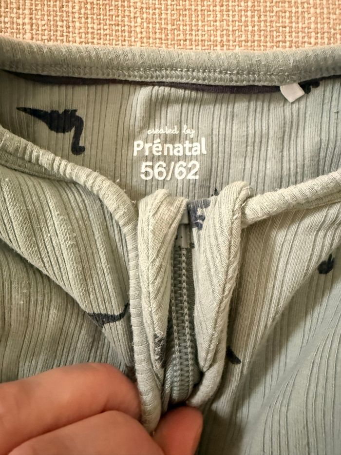 Gigoteuse - photo numéro 2