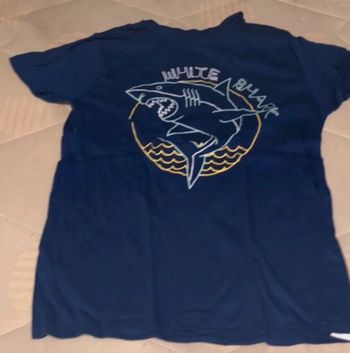 Teeshirt requin