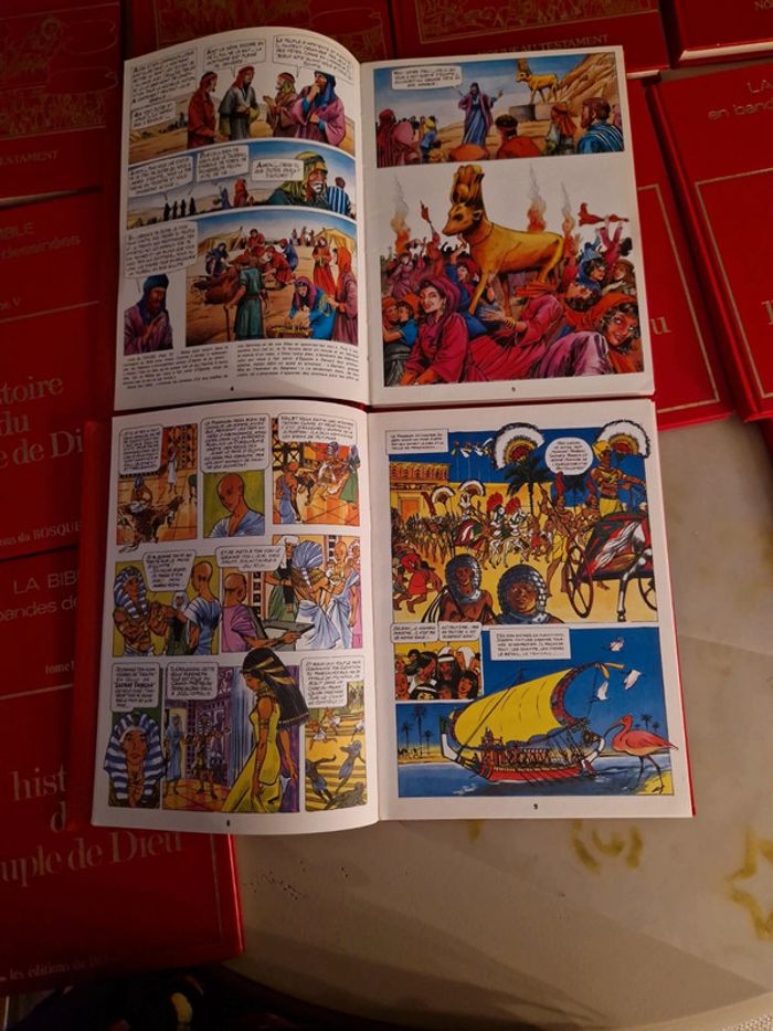 Histoire du peuple de dieu en BD. - photo numéro 11