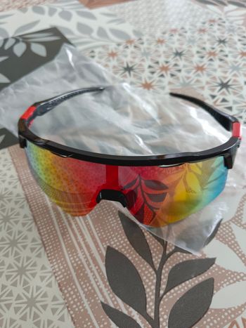 Lunette de ski
