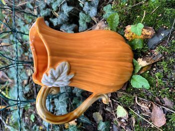 Cruche Faïence citrouille potirons automne