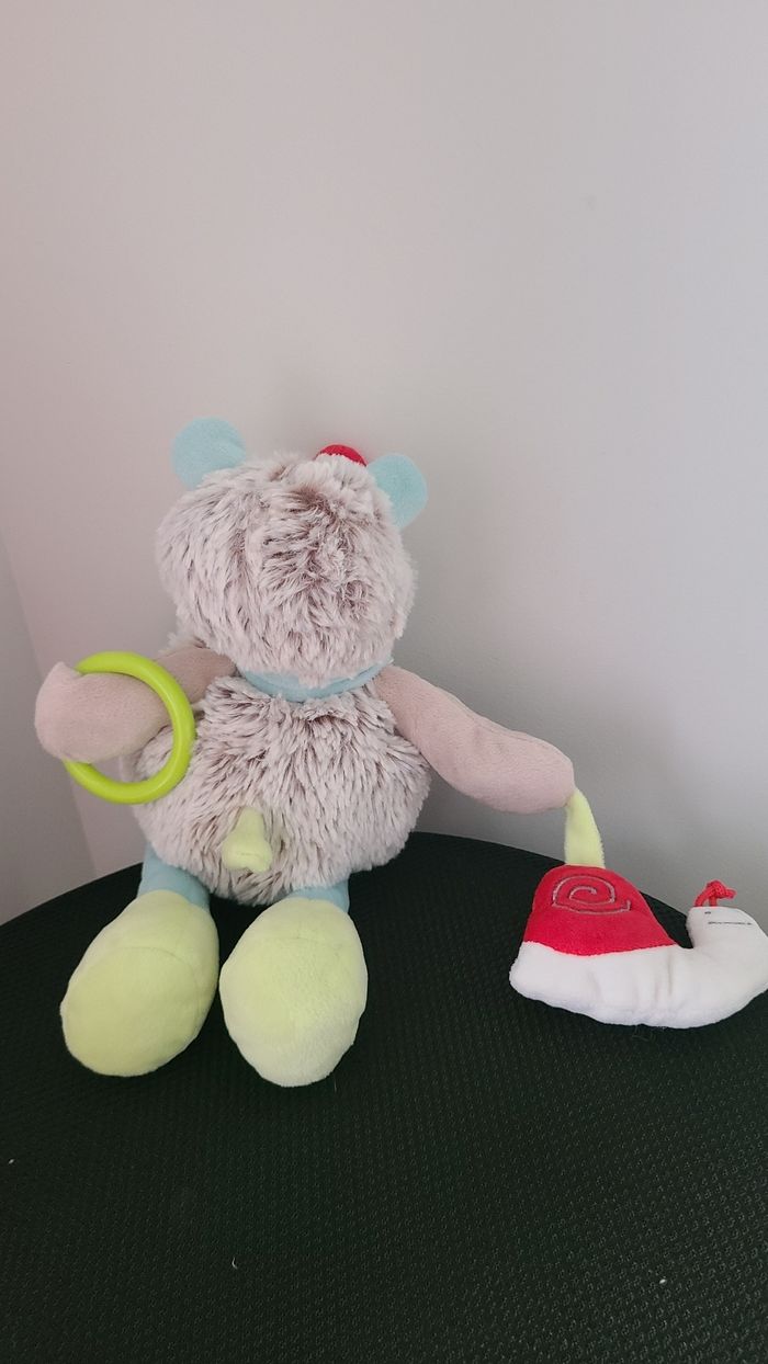 Hérisson - photo numéro 4