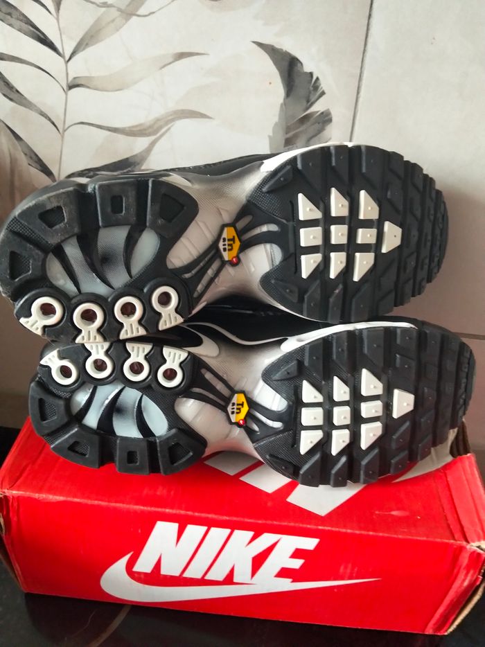 Basket tn - photo numéro 6