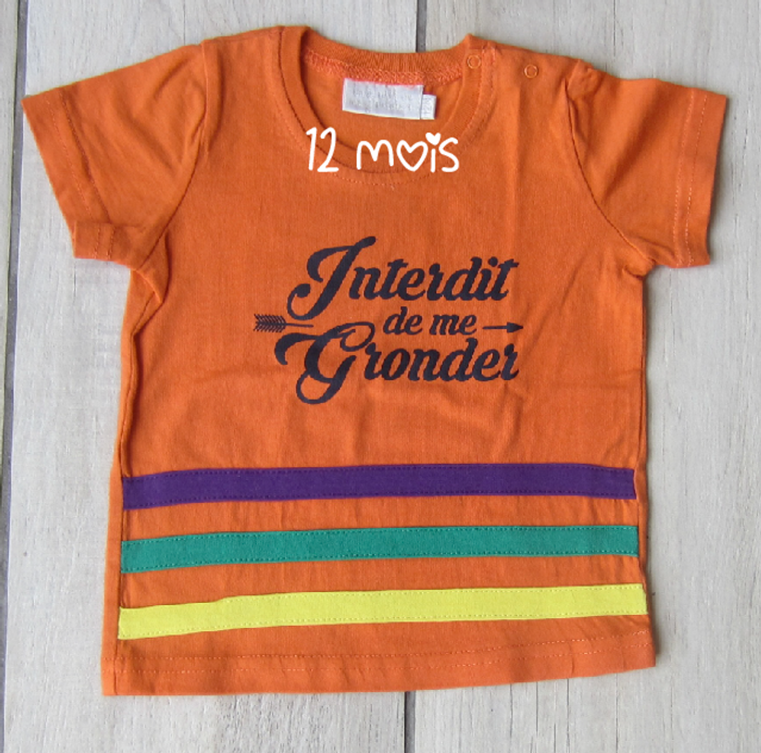 Tee shirt "Interdit de me gronder"