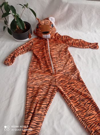 Déguisement/ surpyjama tigre 🐯