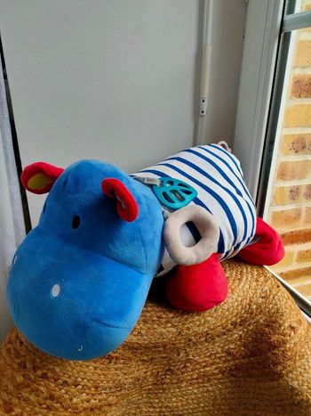 Grosse peluche d'activité Oxybul