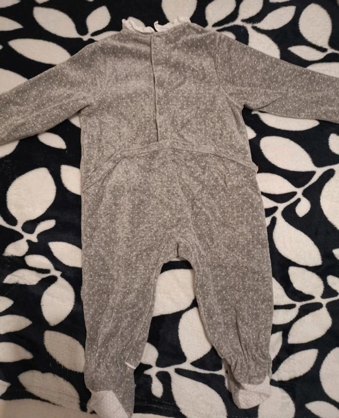 Grenouillère - photo numéro 3