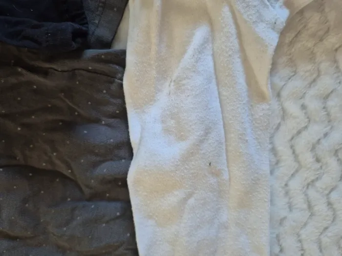 Lot 55 articles 18 mois 80 cm - photo numéro 15