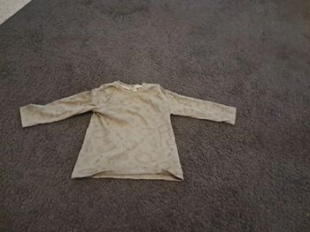 Tee shirt manches longues hérisson
