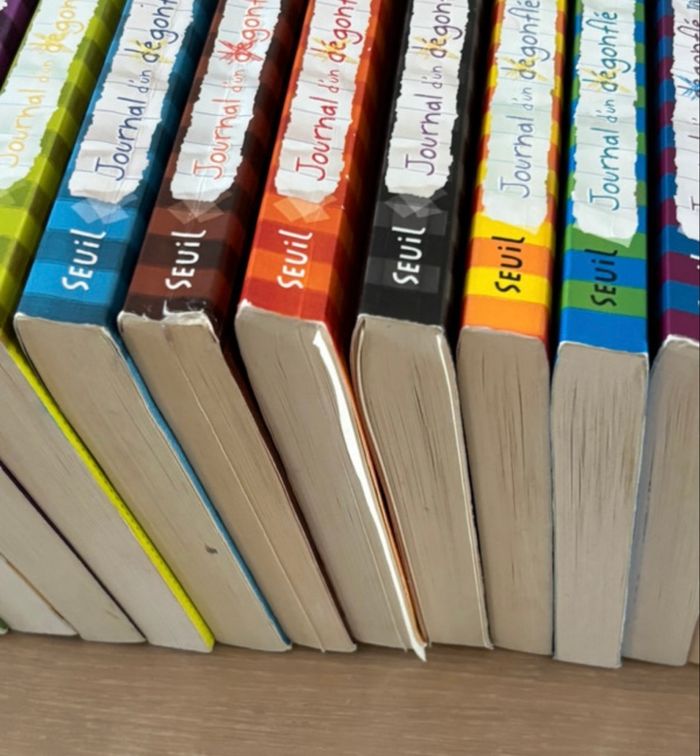 Lot de 18 tomes le journal d’un dégonflé et le carnet top secret - photo numéro 2