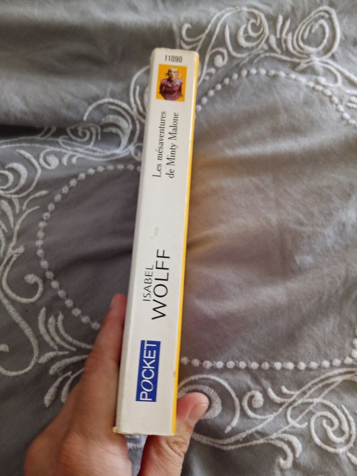 Livre (45) 📚 Les mésaventures de Minty Malone - photo numéro 3