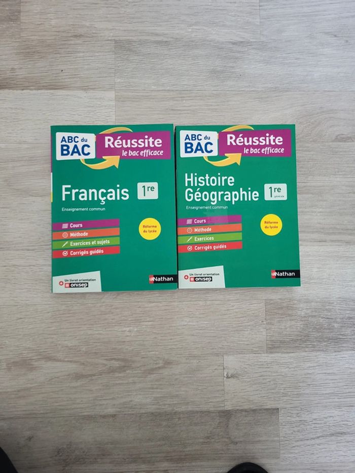 Lot de 2 annales première