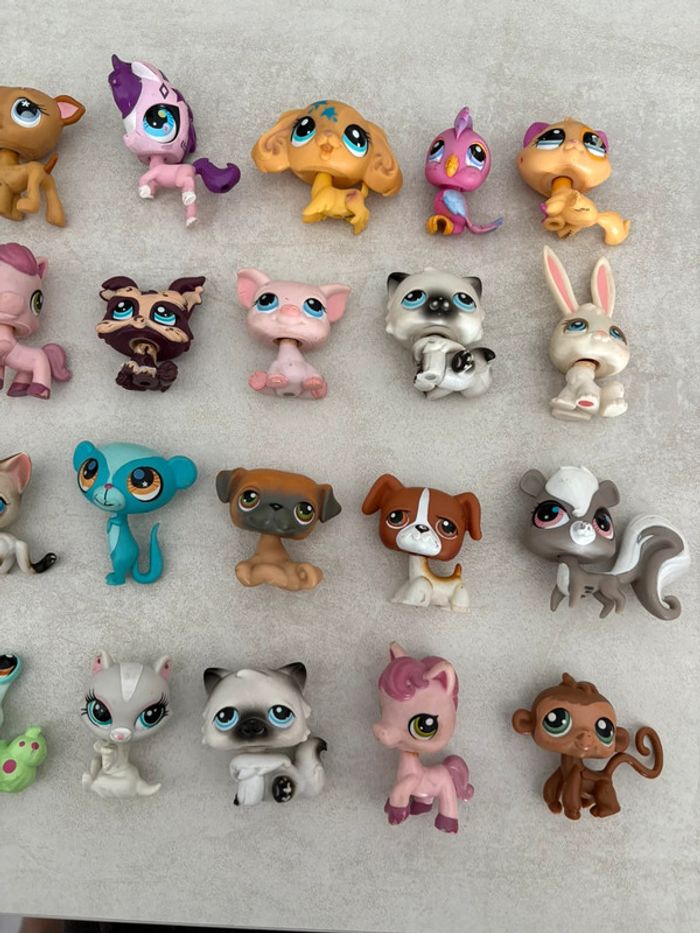 Lot de 37 Petshop année 2006 Petshop anciens et rares - photo numéro 3