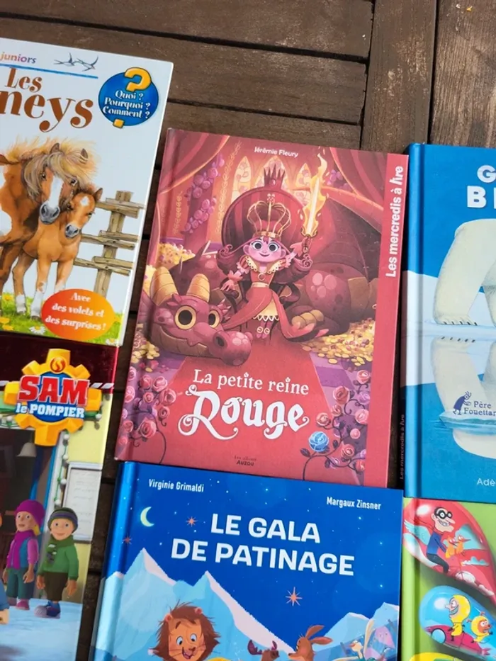 Lot livres enfants. - photo numéro 5