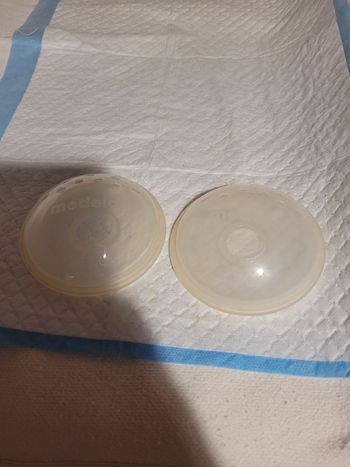 Coquilles allaitement