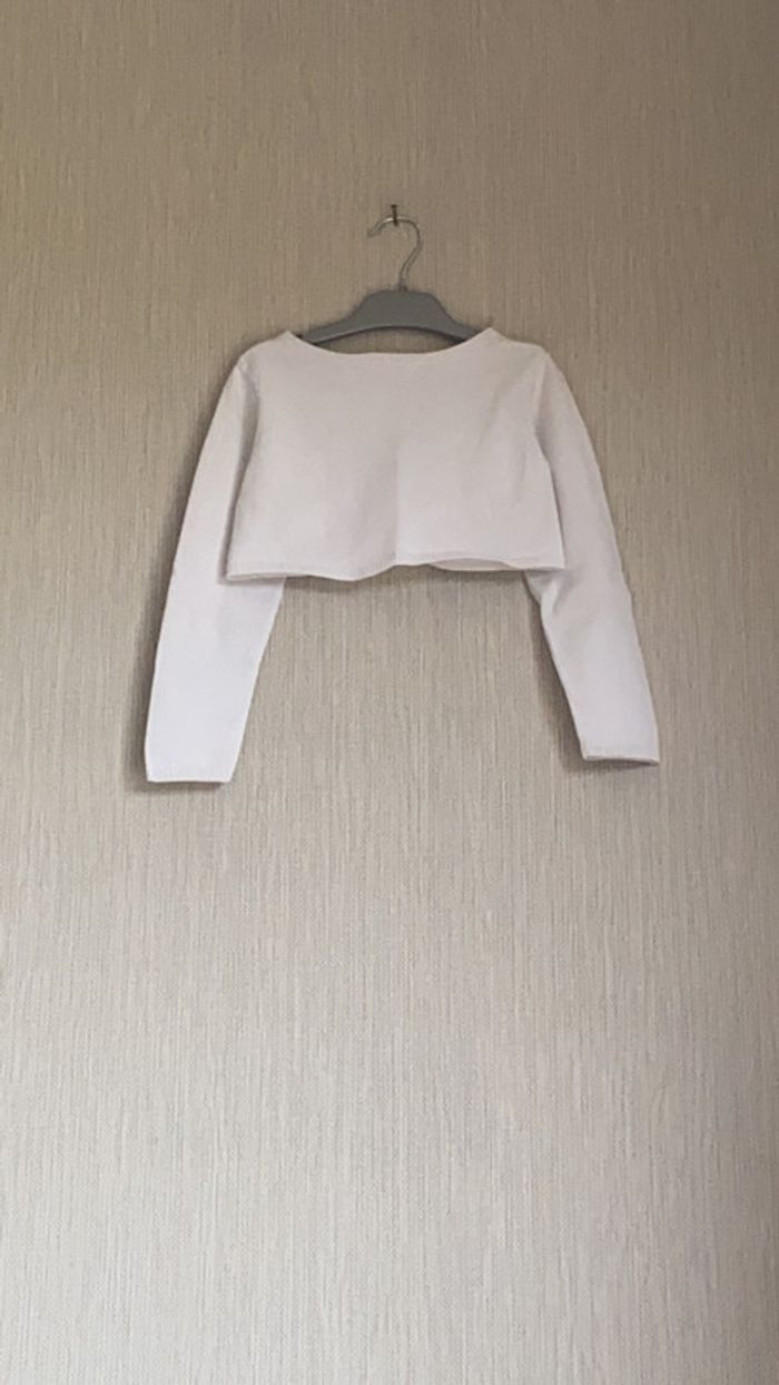 Boléro Du pareil au meme - photo numéro 2