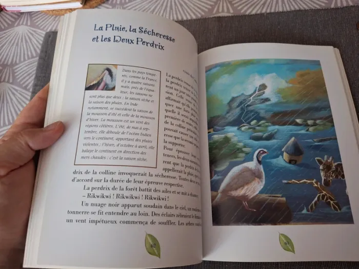 Livre Contes du monde Histoire des quatre saisons - photo numéro 4
