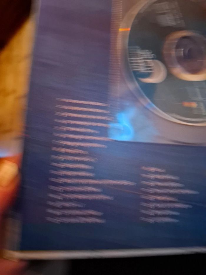 Le manège de la neige - photo numéro 4