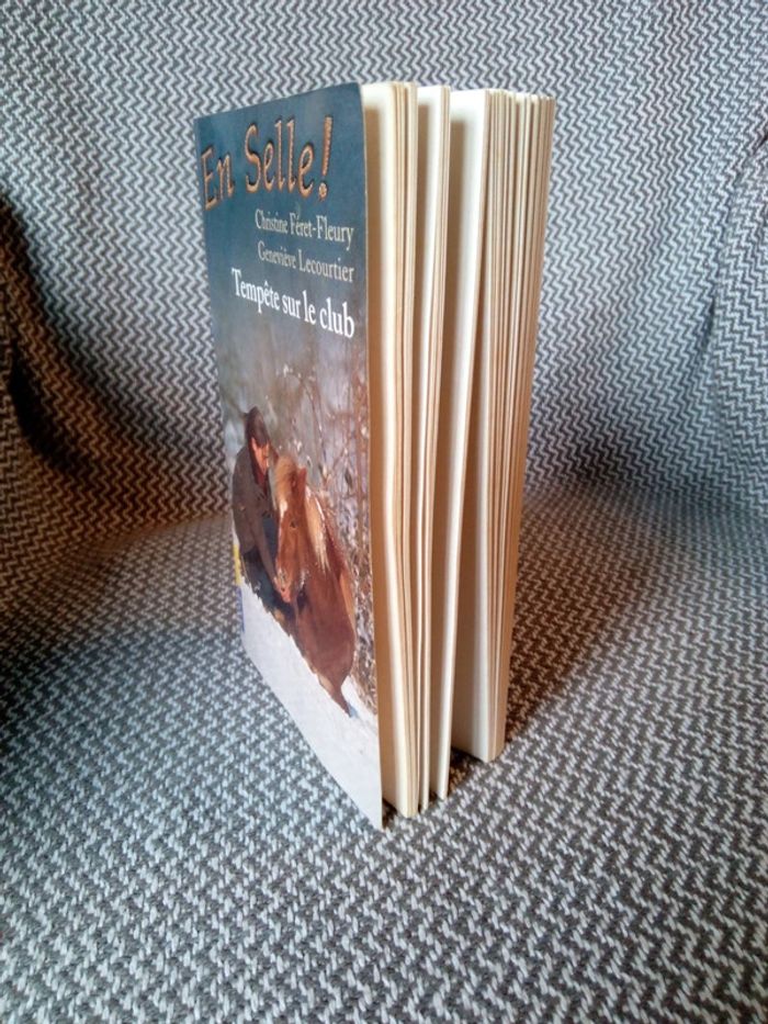 Tempête sur le club/ En selle ! T.4 - Pocket Jeunesse - photo numéro 7