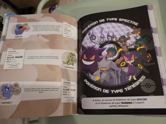 livre pokemon (5e) - photo numéro 4