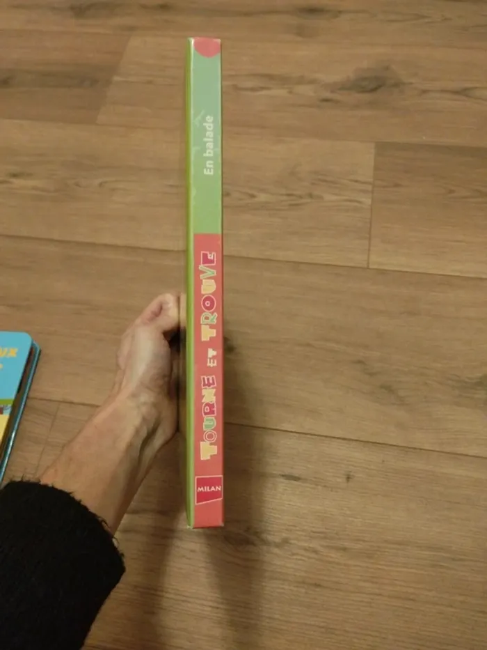 Livre tourne et trouve milan jeunesse - photo numéro 3