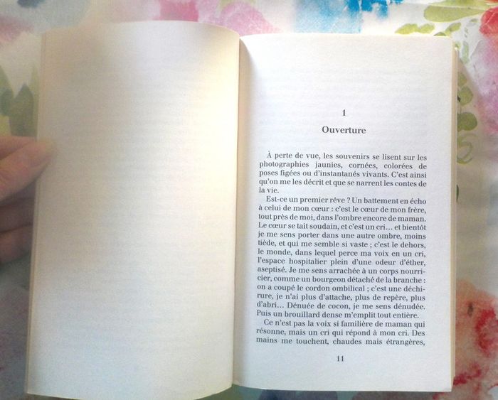 A perte de vue par Aurélie Dauvin Ed. France Loisirs - photo numéro 5