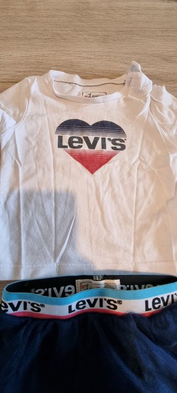 Ensemble levis