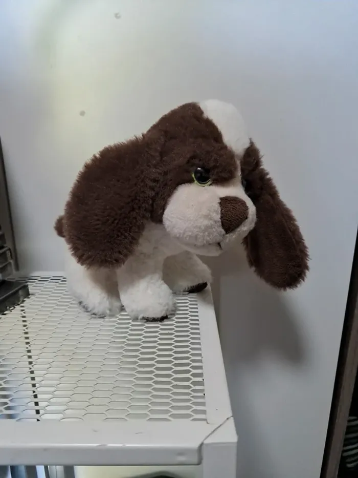 Peluche chien