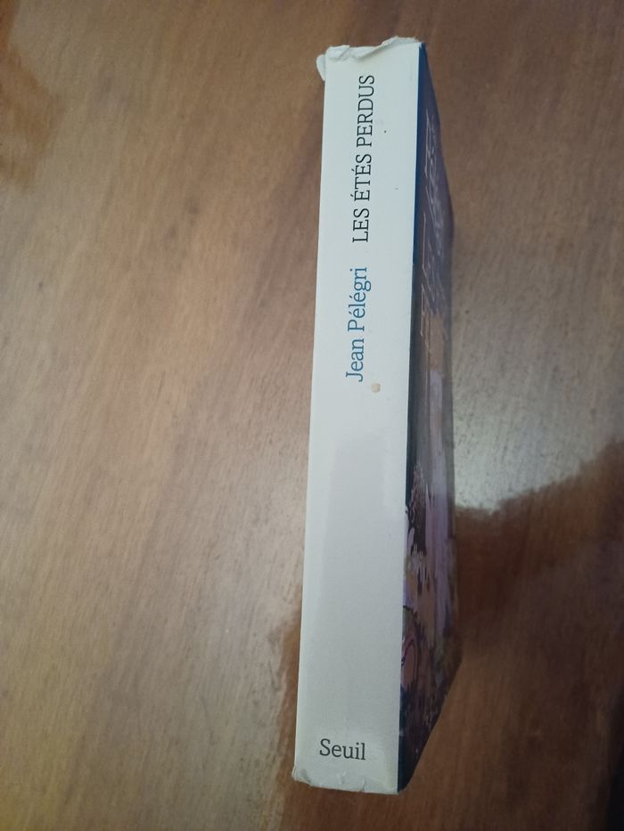 Roman "les étés perdus" - photo numéro 3