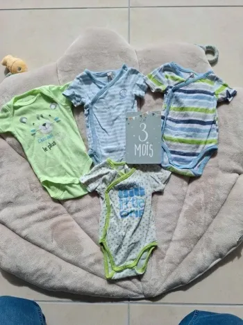 Lot de 4 bodies manche courte