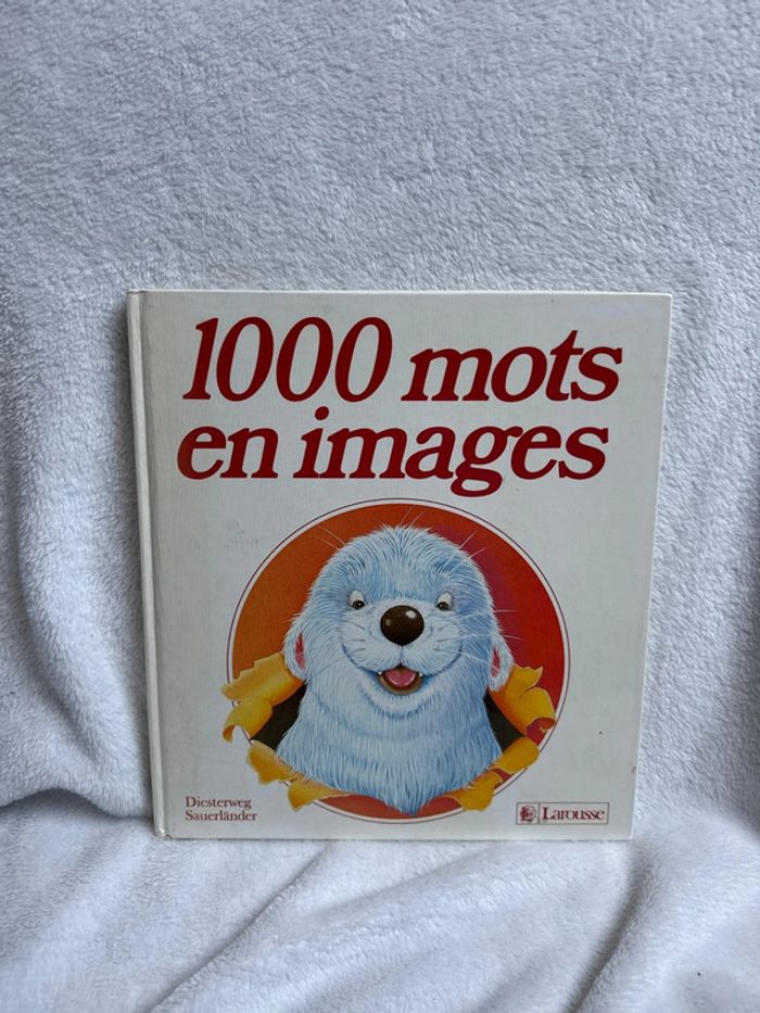 Livre 1000 mots