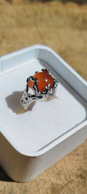 Bague Mystique Nature en Argent S925 🧡 Agate Mousse AAA
