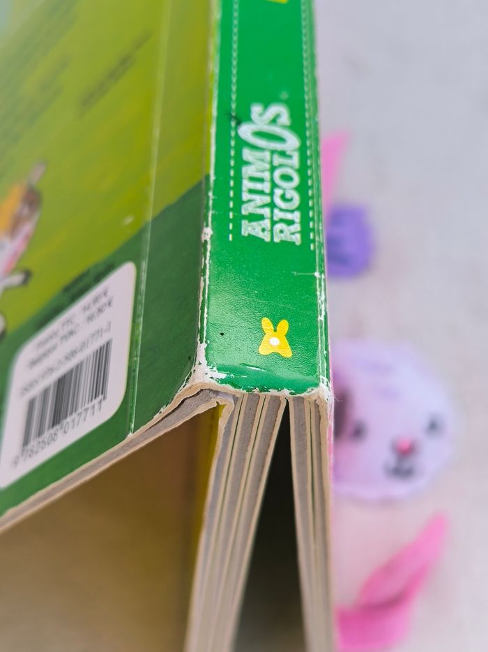 Livre Animos rigolos Hemma - photo numéro 8