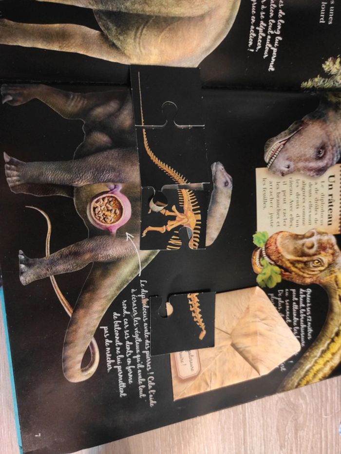 Incroyables dinosaures – L'incroyable encyclopédie – Larousse - photo numéro 11
